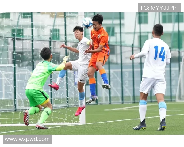 菏泽足球球星崛起 探索本土足球新力量与未来发展潜力 菏泽足球球星崛起 探索本土足球新力量与未来发展潜力